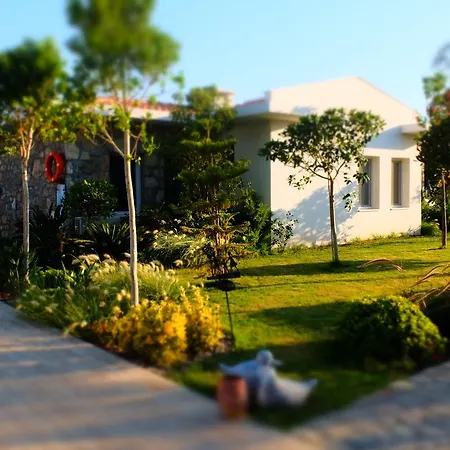 Kalina داتْشا