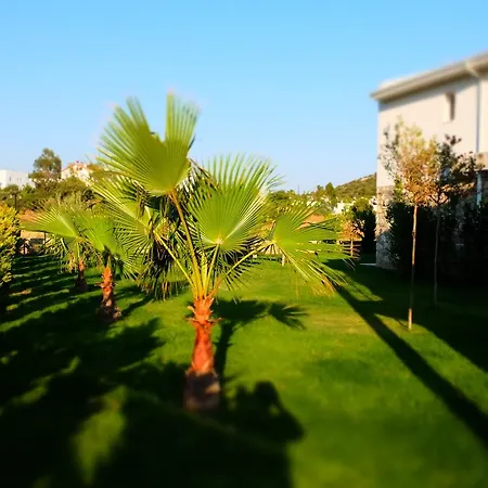 فندق Kalina